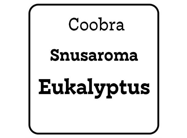 Snusaroma Eukalyptus 25ml Snusaroma