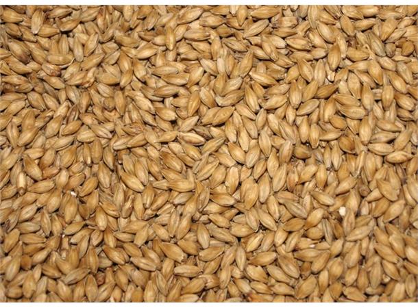 Diastatic Barley Malt Enzym malt 4,5 EBC / 2 L