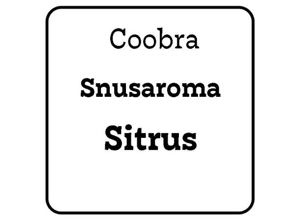 Snusaroma Sitrus 25ml Coobra 