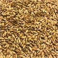 Acidulated Malt (Syremalt) 1kg Kvernet 4 EBC / 2 L