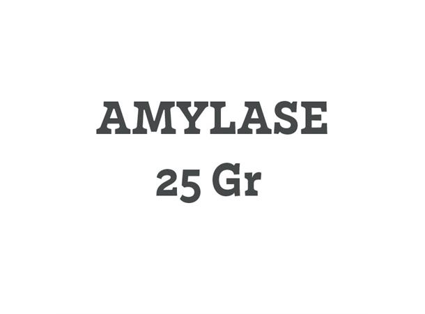 Amylase 25 gram 