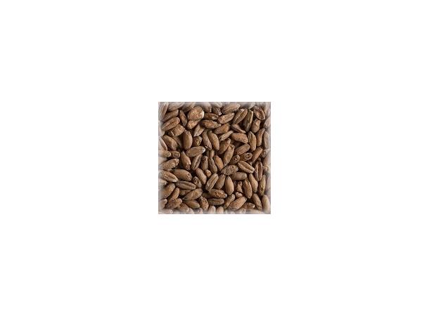 Castle Spelt Malt 1kg Hel 3-7 EBC 