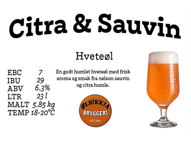 Citra & Sauvin Allgrain ølsett 23 liter, Hveteøl 