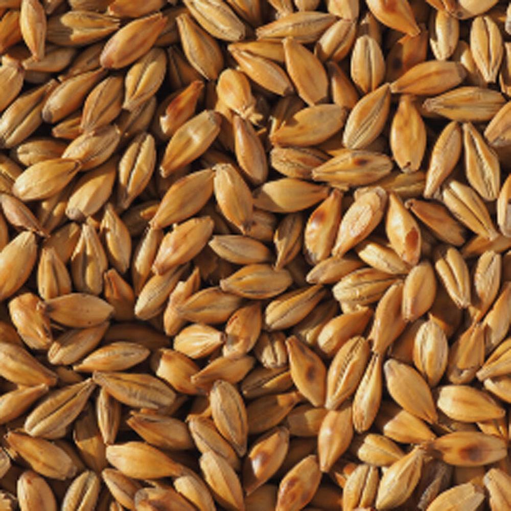 Spesialmalt i sekk