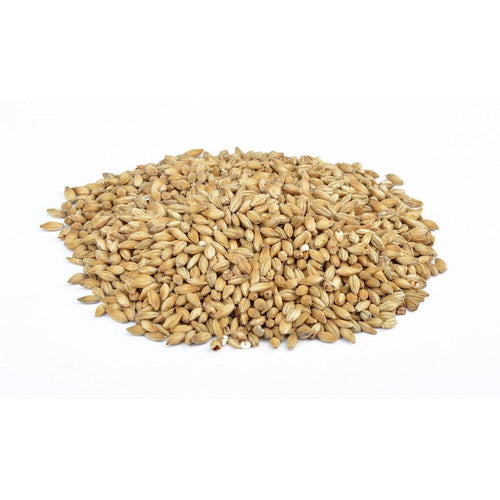 Weyermann® Floor-Malted Bohemian Pilsner Malt 100g – hjemmebrygg