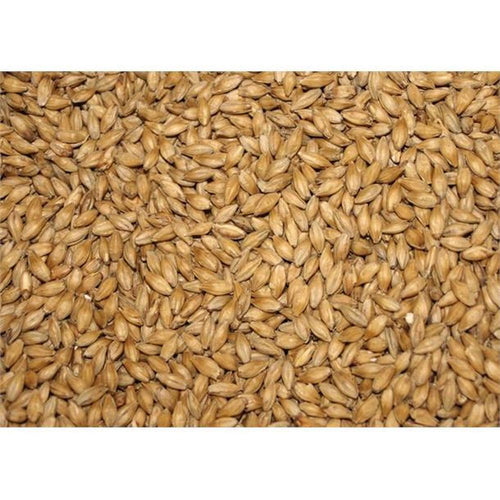 Pilsnermalt 100 g – hjemmebrygg