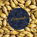 25 kg CaraMalt 30 EBC – Simpsons