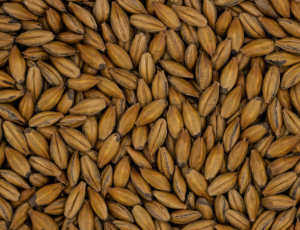 Simpsons Export Pale Brown malt 25 kg – hjemmebrygg