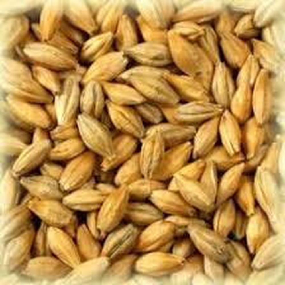 Castle Pilsnermalt 1kg Kvernet 3-4 EBC / 1,8-2 Lovibond pilsmalt