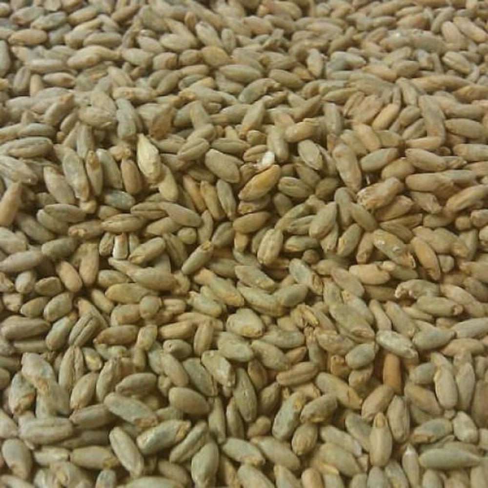 Rug Malt / Rye Malt 1 kg Kvernet 4-10 EBC - 2-4.2 L