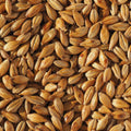 Simpsons Caramalt 1kg Kvernet EBC: 30 - for fylde og skumfasthet