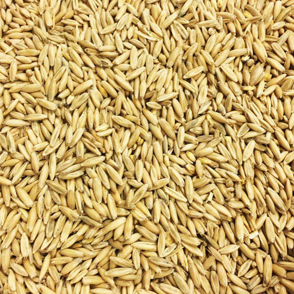 Havremalt 1kg Kvernet Havre / Oats 4 EBC