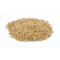 Floormalted Bohemian Pils 1kg Kvernet Pilsnermalt 6 EBC / 2,8 Lovibond