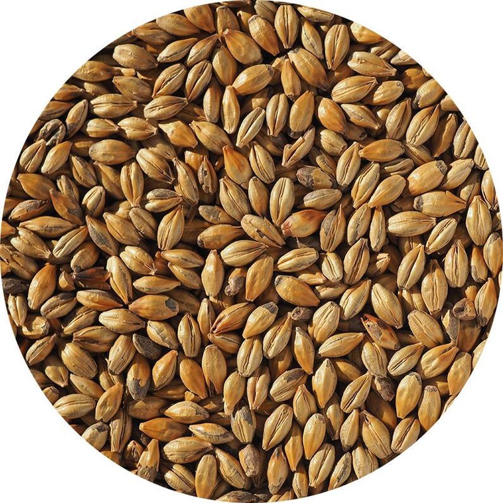 Amber malt 100g – hjemmebrygg