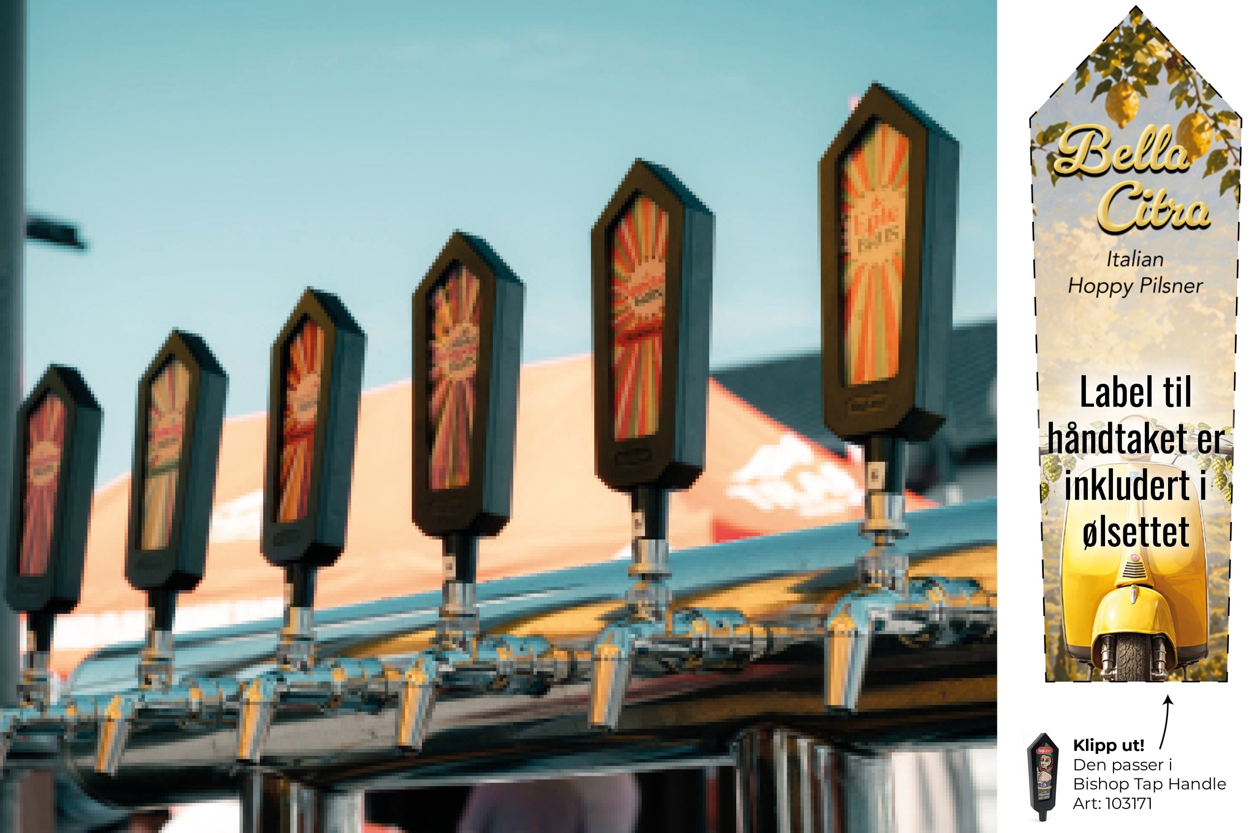 Bella Citra Allgrain Ølsett – Italiensk Pilsner med Citra