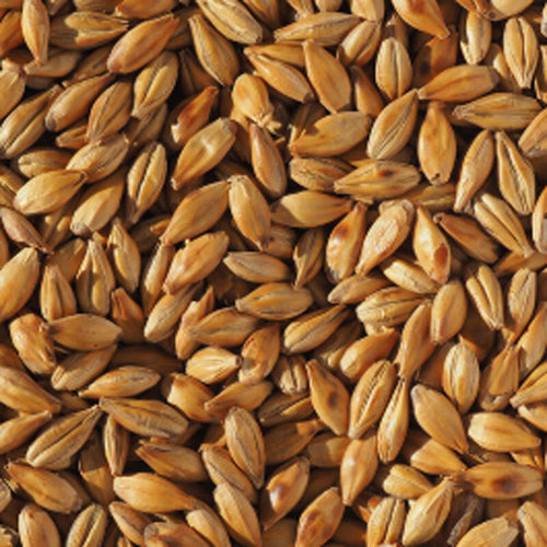 Weyermann CARAAROMA malt 25 kg – hjemmebrygg