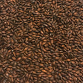 Weyermann Carafa Special Type 3 malt 100g – hjemmebrygg