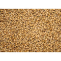 CARAHELL® karamellmalt 100 g – hjemmebrygg