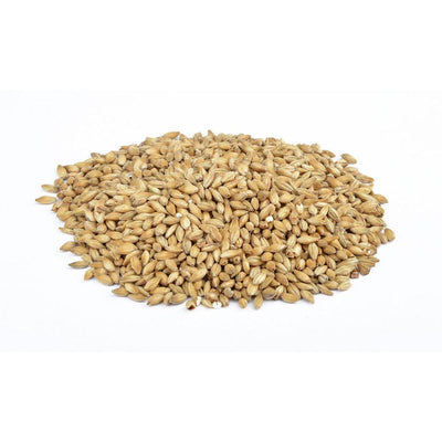 Spesialmalt