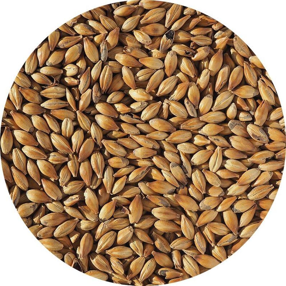 Crystal 240 EBC medium krystallmalt 100g – hjemmebrygg
