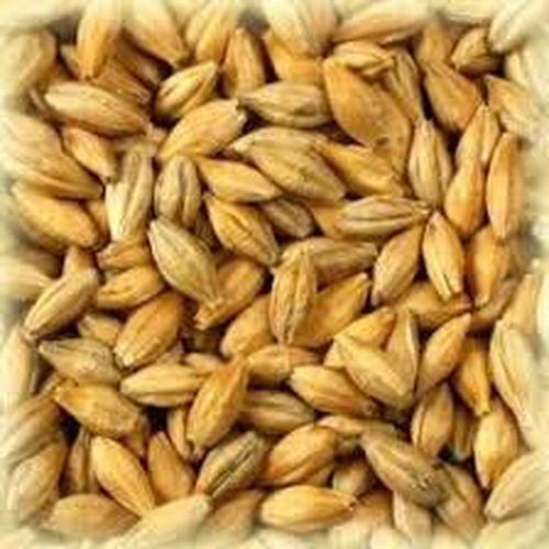 Finkvernet Pale Ale Malt 25 kg – hjemmebrygg