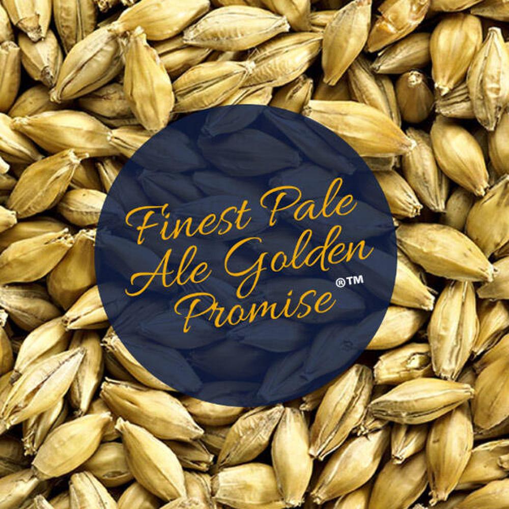 Golden Promise Pale Ale malt 100g – hjemmebrygg
