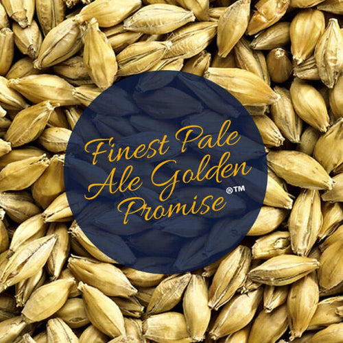 Golden Promise Pale Ale malt 100g – hjemmebrygg