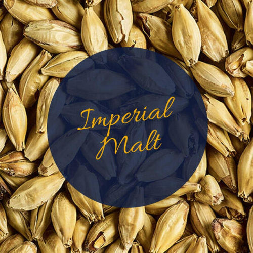 Simpsons Imperial Malt 100g – hjemmebrygg