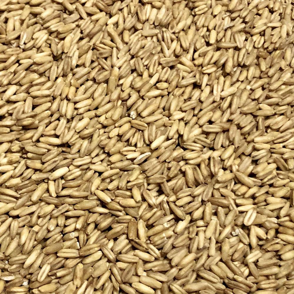 Naked Oats havre malt 1 kg – hjemmebrygg