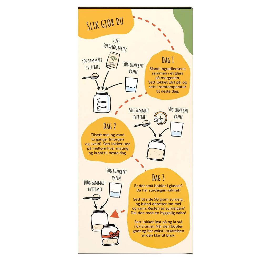 Illustrert trinn-for-trinn guide for å aktivere surdeigsstarter, med tekst og tegninger av ingredienser og glass.